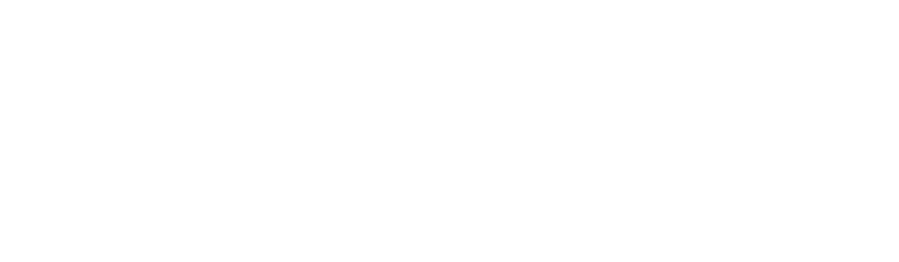 Fintu Logo